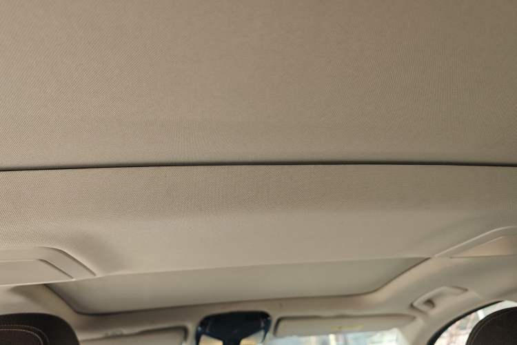 Used BMW 5 Series New Energy 2019 530Le Luxury Package
