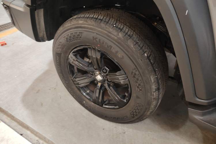 Used Tank 300 2024 2.0T Conqueror
