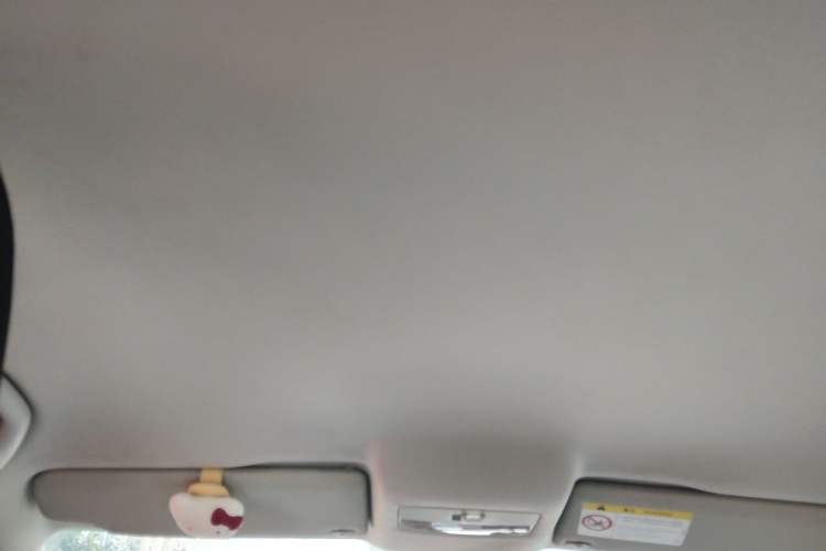 Used Volkswagen Polo 2014 1.6L Automatic Comfort Edition Headliner