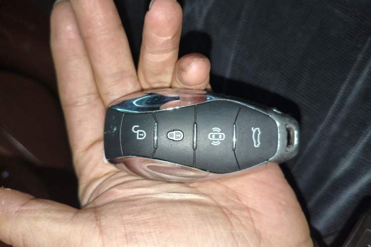 Used Hongqi H9 2024 2.0T Qichang Private Enjoyment Luxury Edition