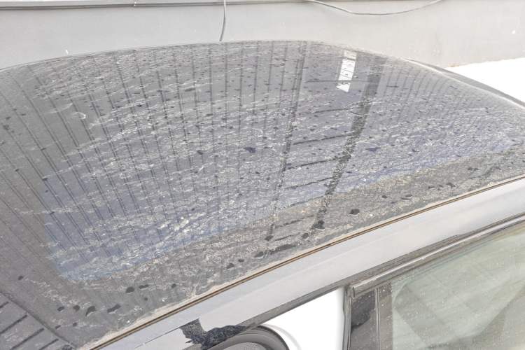 Used Hongqi EH7 2024 690 Pro
