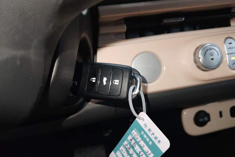 Used Qiyuan Lumin 2025 205km Refreshing Edition
