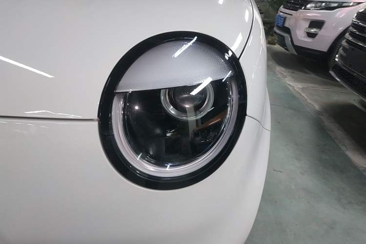 Used Qiyuan Lumin 2023 205km Xiangqin Version