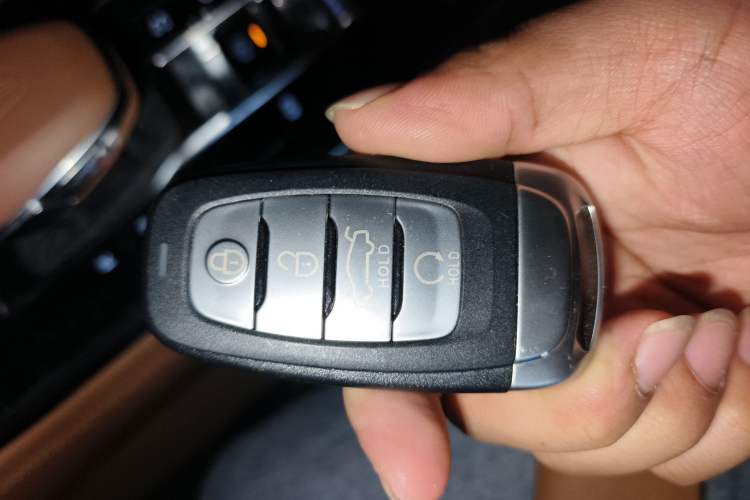 Used Hongqi H9 2020 2.0T Smart Connect Flagship Edition