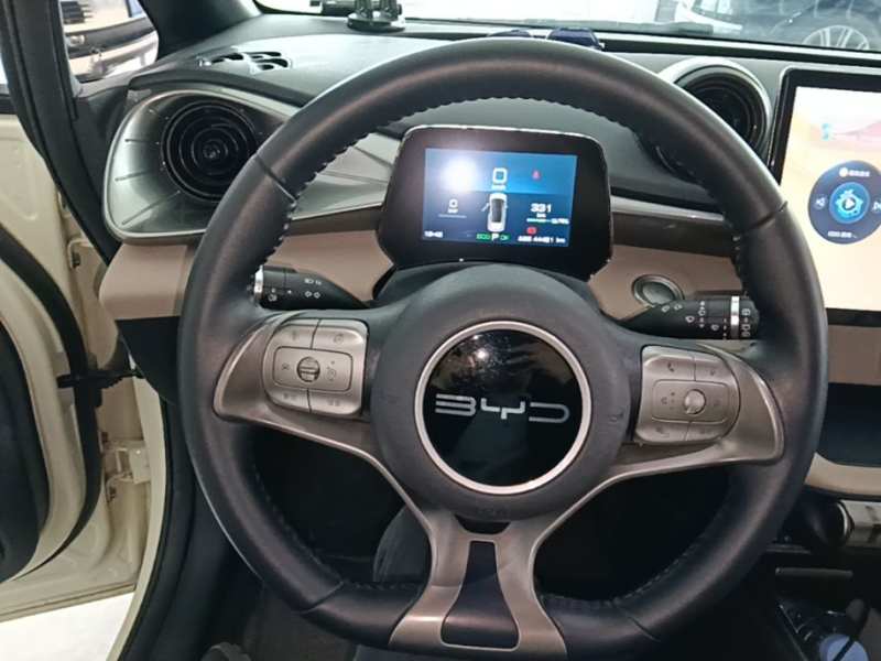 Used BYD Dolphin 2023 420 km Free Version — 10