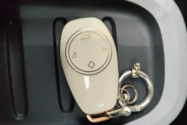 Used Leapmotor T03 2021 400 Micro-Sugar Version Vehicle Key