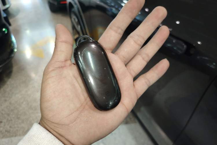 Used Li Auto L9 2022 Max model
