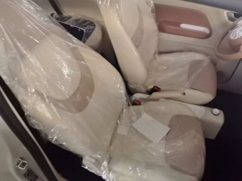 Used Wuling Hongguang MINIEV 2024 3rd Generation 215km Youth Edition — 24