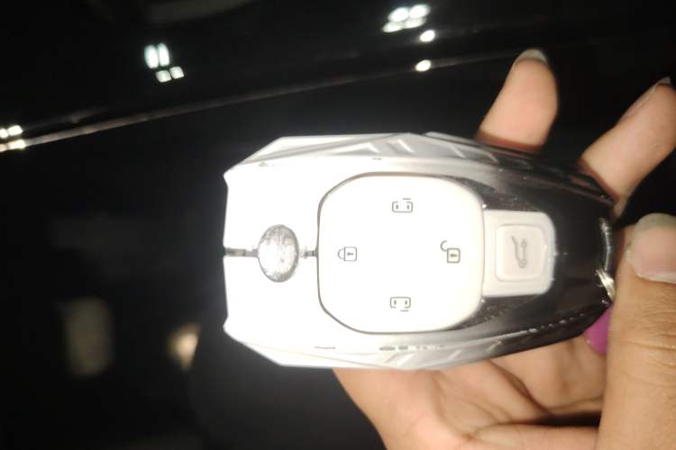 Used GAC Trumpchi E9 2023 E9 Master Model
