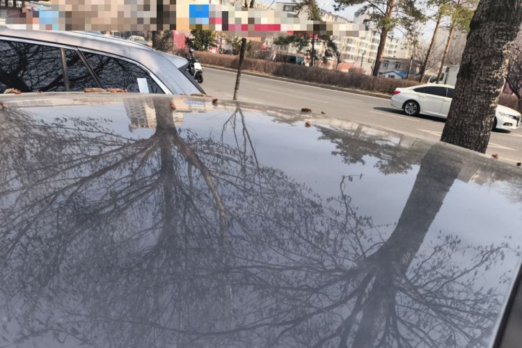 Used BYD Qin PLUS 2025 DM-i Smart Drive 55KM Leading Model Roof