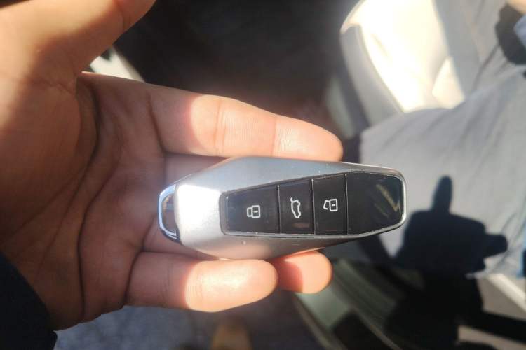 Used Chery New Energy eQ7 2024 512 km Self-Drive Version