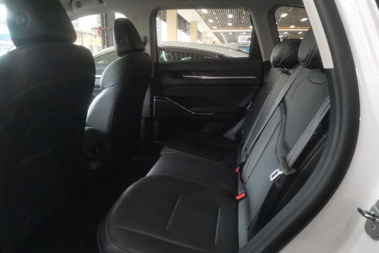 Used Haval H6 2021 3rd Generation 2.0T Automatic Two-Wheel Drive Max Left Rear Seat