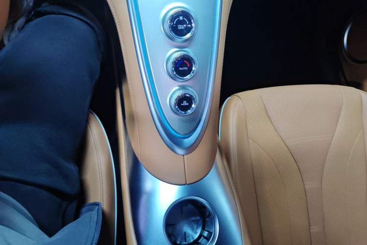 Used ORA Lightning Cat 2022 555 km Luxury Edition Gear Lever