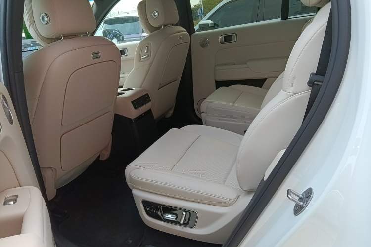 Used Li Auto L9 2025 Ultra Smart Refreshed Edition Left Rear Seat