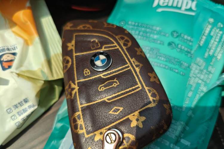 Used BMW 5 Series New Energy 2019 Updated Version 530Le Luxury Package Vehicle Key