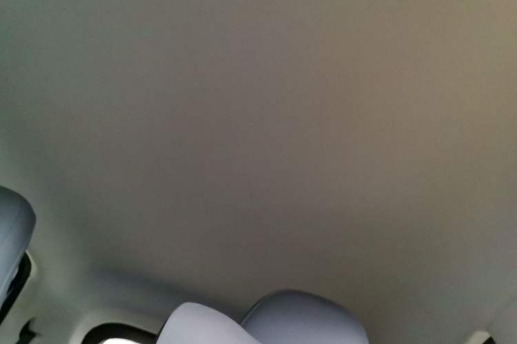 Used Leapmotor T03 2025 310 Comfort Edition Headliner