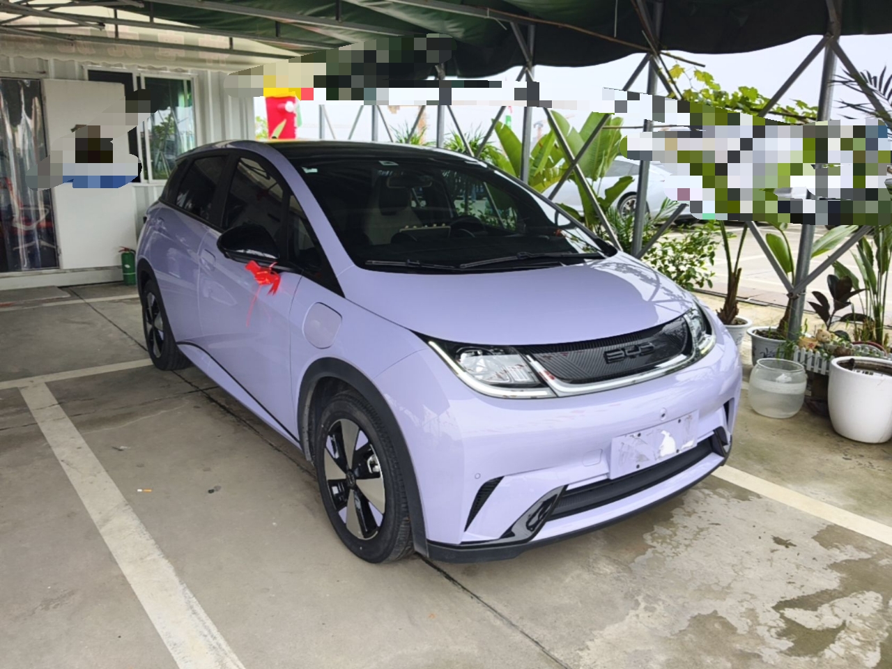 BYD Dolphin 2023 420 km Fashion Edition — снимка 3