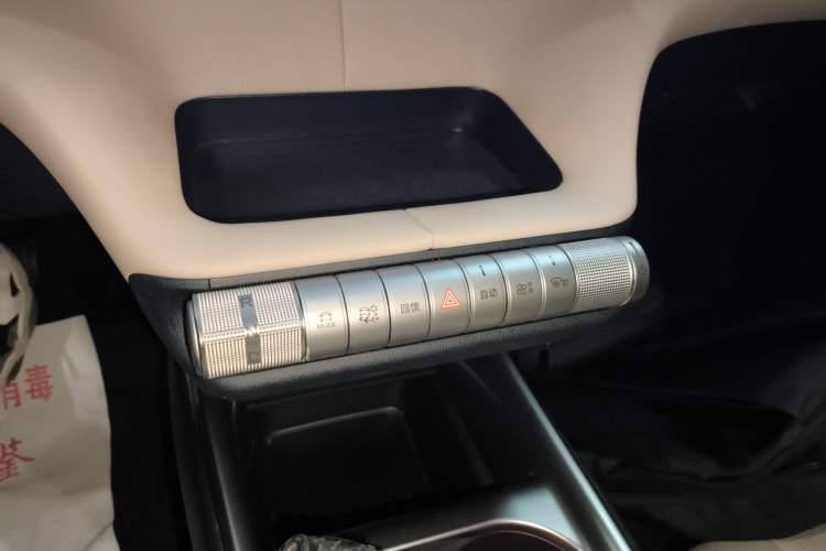 Used BYD Dolphin 2025 420km Free Edition Gear Lever