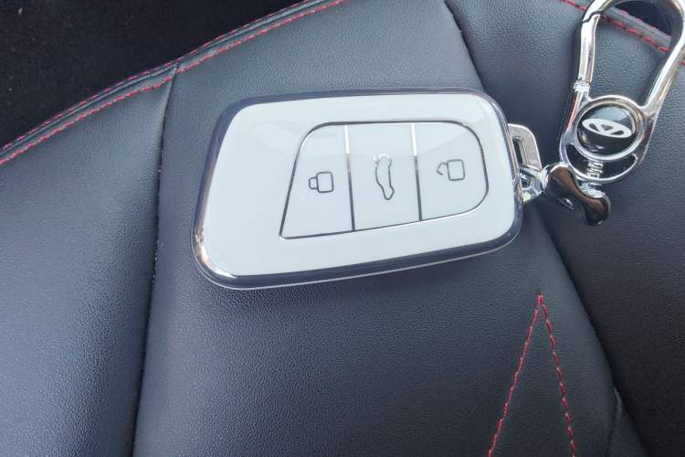 Used Chery QQ Little Ant 2022 Sweet Pink Edition Half-Sugar Version Lithium Iron Phosphate 29.2 kWh 30 kW 301 km Vehicle Key