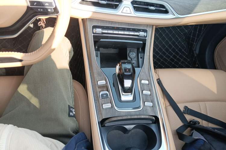 Used Landian E5 2024 Honor Edition 100KM Premium Model 7 Seats