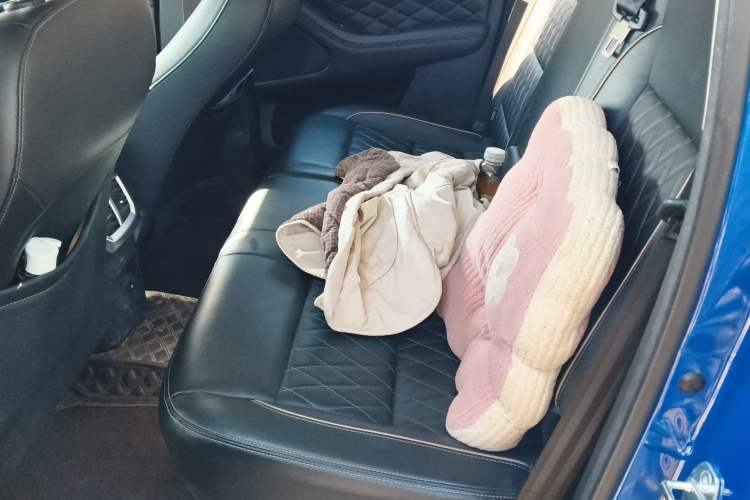 Used Great Wall Poer 2021 2.0T Global Version Automatic Diesel 4x4 Comfort Trim Standard Box GW4D20M
