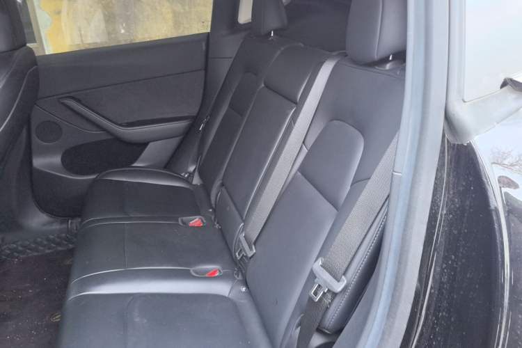 Used Tesla Model Y 2022 Long-Range All-Wheel-Drive Version