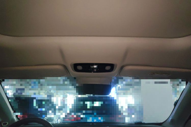 Used Leapmotor C11 2023 Pure Electric 500 Comfort Edition Headliner