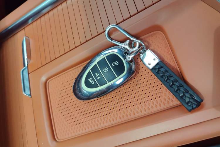 Used Wey Lanshan 2023 Two-Wheel Drive Long-Range Version
