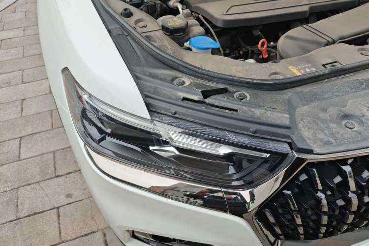 Used Haval H6 2023 National Trend Edition 1.5T Automatic Urban Version