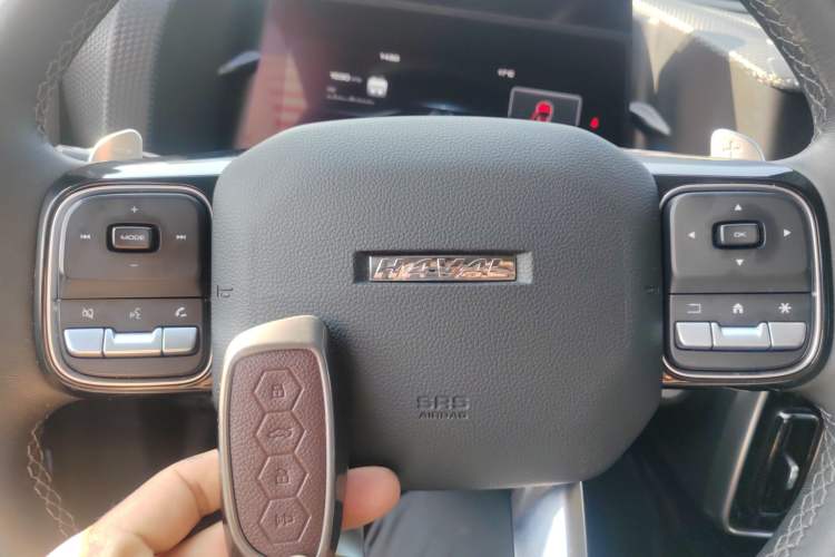 Used Haval DARGO 2022 2.0T DCT All-Wheel-Drive Xiaotianque Version
