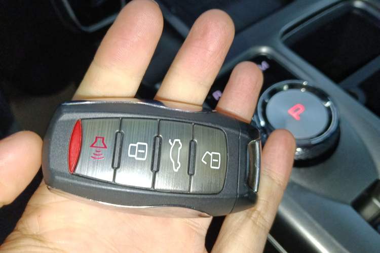 Used Haval DARGO 2024 2.0T DCT Chinese Rural Dog Edition
