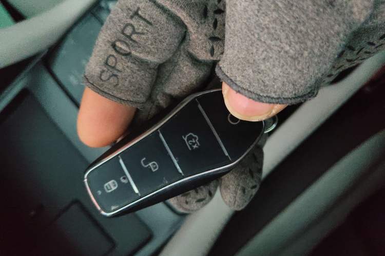 Used BYD Song PLUS New Energy 2025 DM-i 112KM Prestige Model