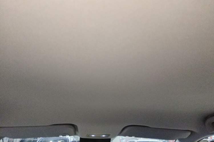 Used NETA V 2021 Long-Range Entertainment Edition Upgrade Model Headliner