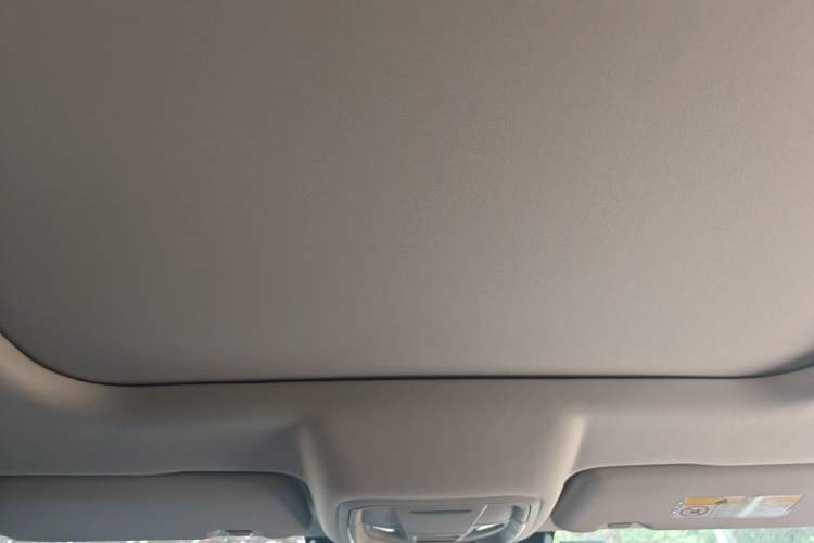 Used Haval DARGO 2024 1.5T DCT Border Collie Edition Headliner