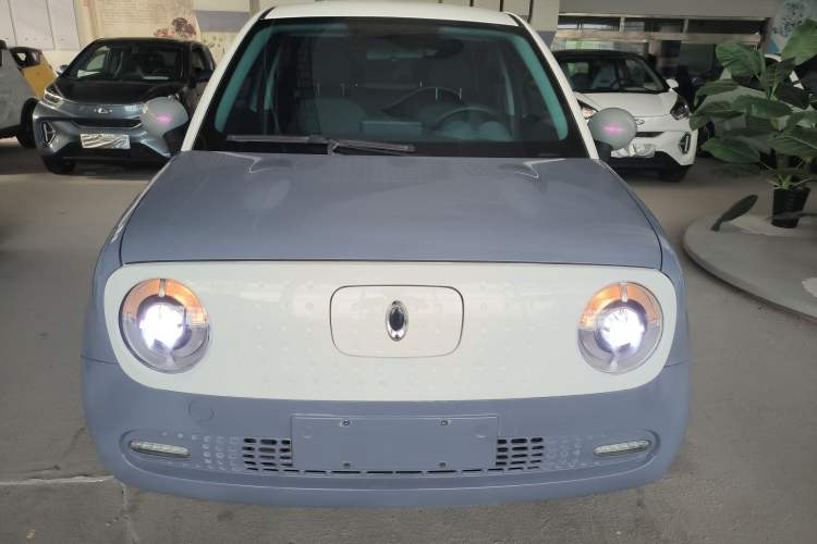 Used ORA Black Cat 2021 351 km Standard Version Front