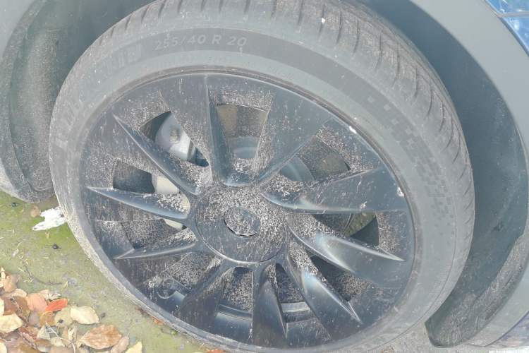 Used Tesla Model Y 2021 Long-Range All-Wheel-Drive Version