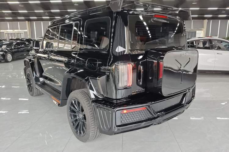 Used Cyberspace Tank 300 2023 2.0T Cyber Knight