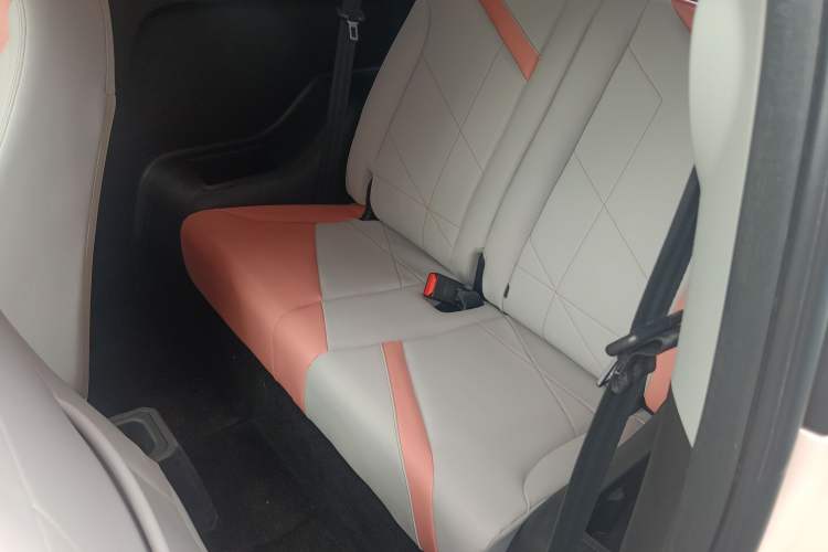 Used Chery QQ Little Ant 2022 Restyled Version Sweet Pink Edition Half-Sugar Version 28.8 kWh 30 kW 301 km Left Rear Seat