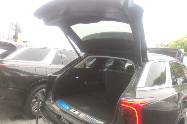 Used Hongqi E-HS9 2021 460 km Range Flagship Edition Six-Seater Trunk