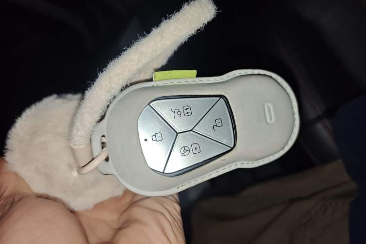 Used XPeng P7 2022 480N+
