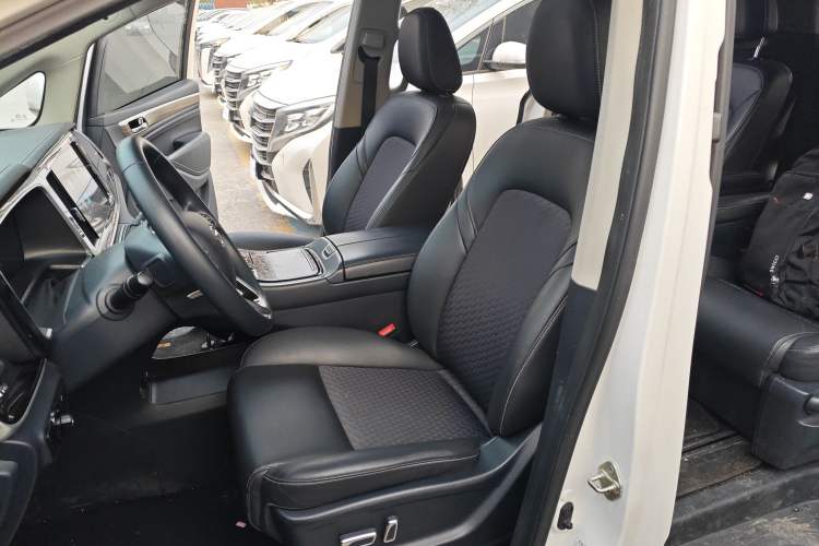 Used GAC Trumpchi M8  Left Front Seat