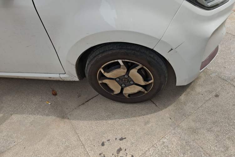 Used SOL E10X 2022 Flower Fairy Design Four-Leaf Clover