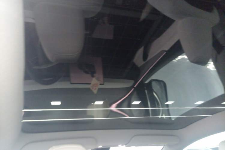 Used Tesla Model Y 2025 Rear-Wheel-Drive Version Headliner