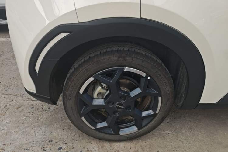 Used BYD Seagull 2025 405 km Flying Edition
