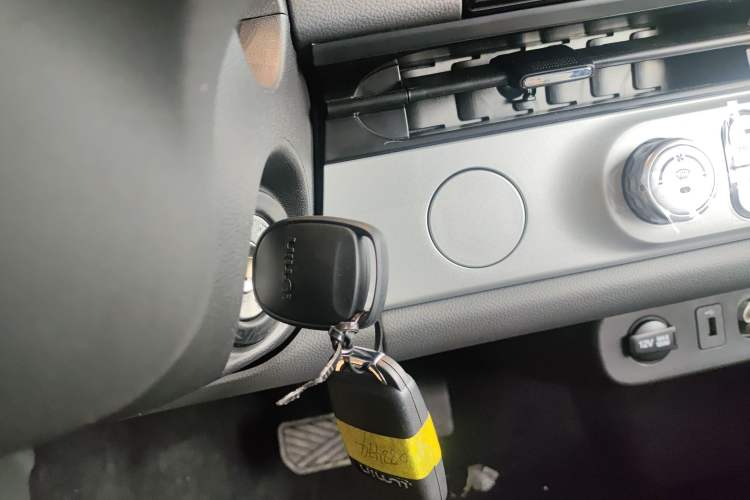 Used Qiyuan Lumin 2025 205 km Xiangqin Version
