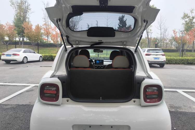 Used ORA Black Cat 2019 351 km Goddess Edition Trunk