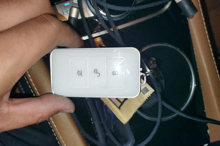 Used BYD Qin New Energy 2018 Qin EV450 Smart Connect Prestige Model
