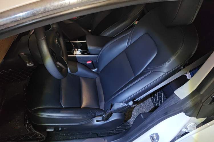 Used Tesla Model 3 (Import) 2019 Standard Range Rear-Wheel Drive Upgraded Version (60 kWh)