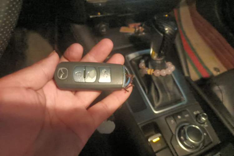 Used Mazda Atenza 2017 2.0L Blue Sky Luxury Edition
