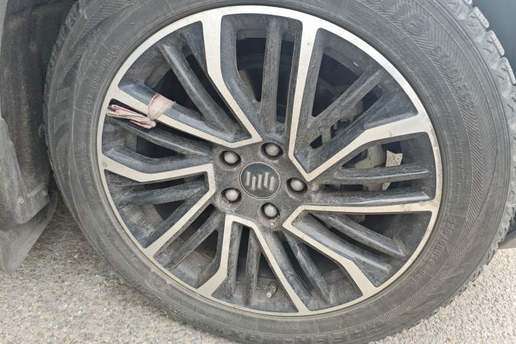 Used WM Motor W6 2021 520km PRO All-Round Edition
